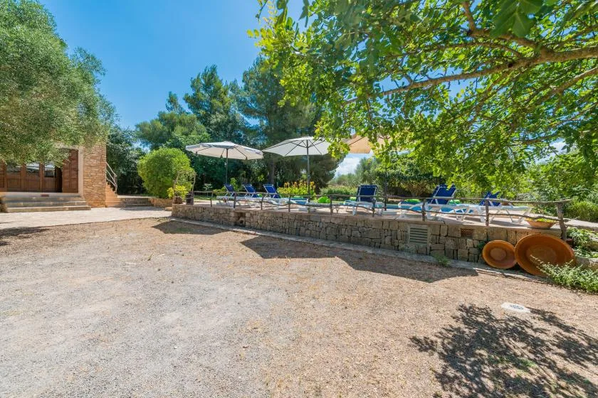 An outdoor pool area with lounge seating and umbrellas surrounded by trees.
