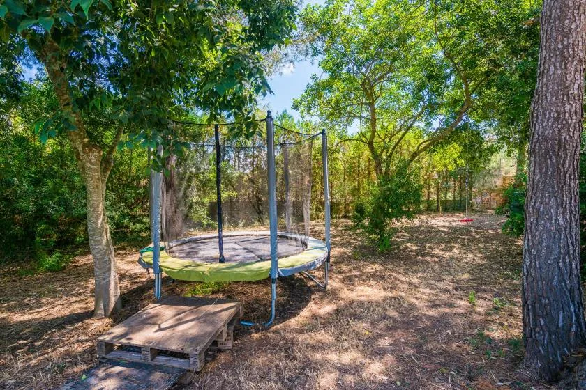 A trampoline sits beneath trees in a wooded outdoor area.
