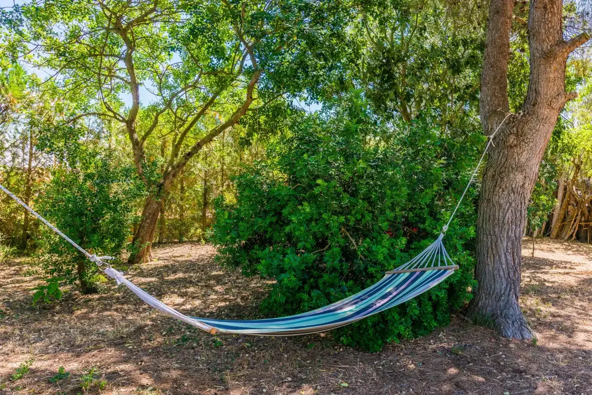 A hammock hangs among trees and greenery in a shaded garden.