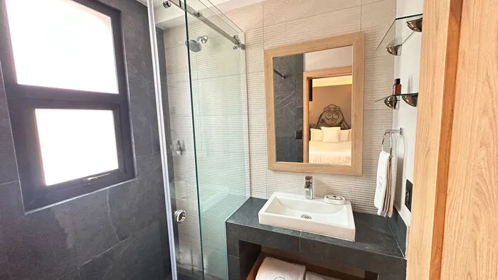 Deluxe room with one double bed and city view
