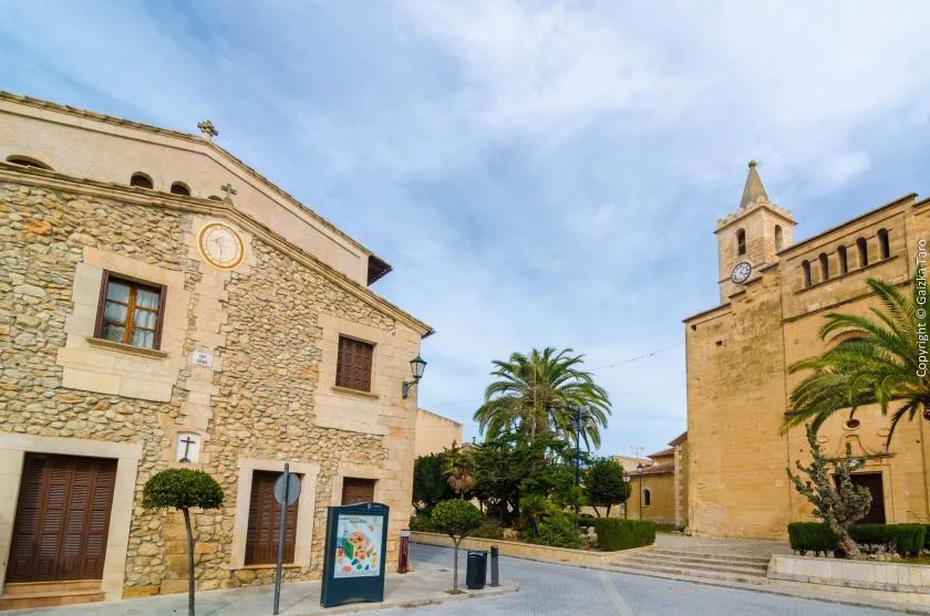 Una plaza empedrada entre edificios históricos, con palmeras y una torre con reloj.