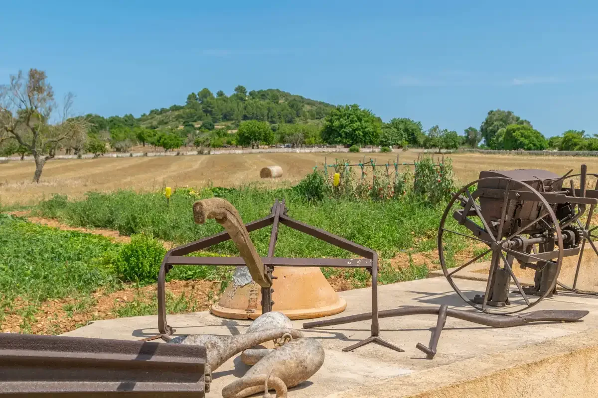 Un campo rural y cultivos verdes se ven detrás de antiguos aperos agrícolas.