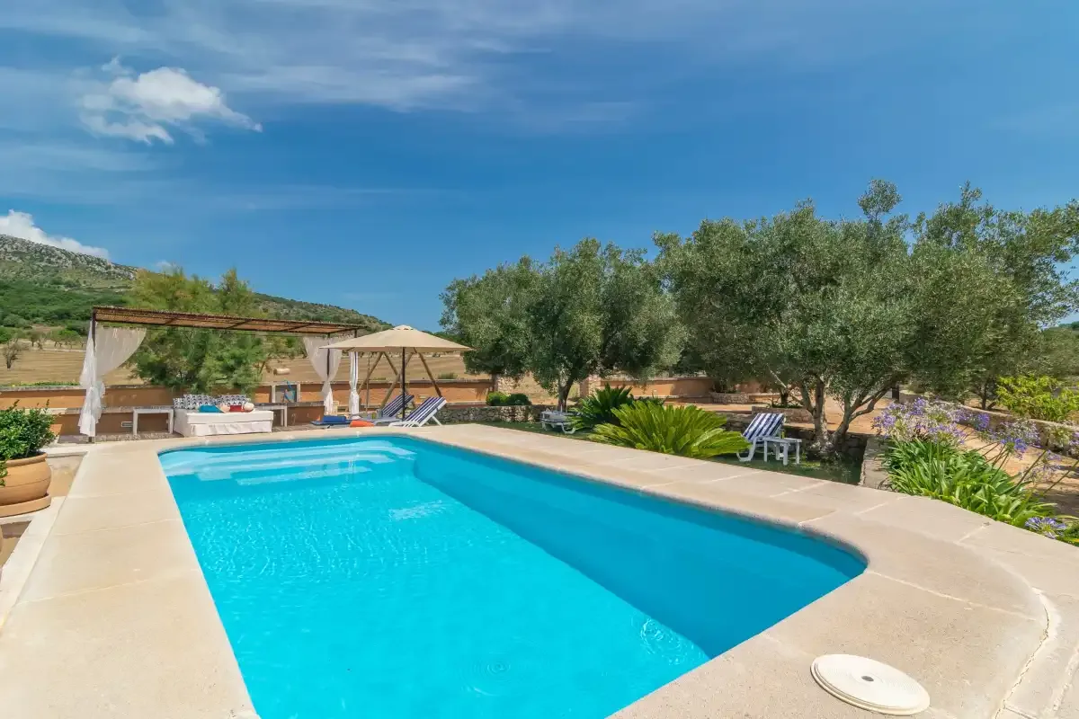 Una piscina al aire libre está rodeada por una zona pavimentada y árboles.