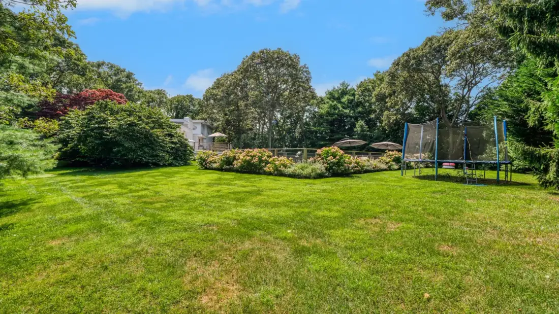 A broad green lawn is bordered by trees, shrubs, and a trampoline.