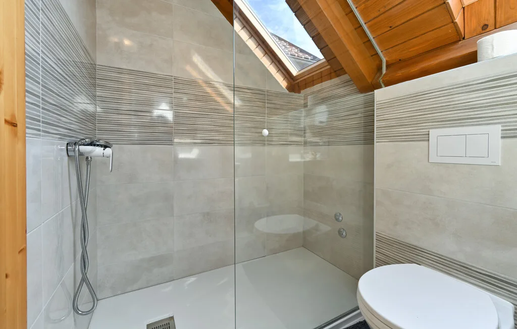 Un baño con una ducha de cristal y un inodoro bajo una claraboya.