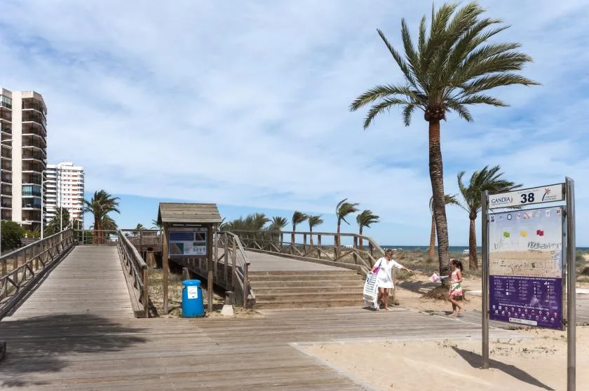 Una pasarela de madera conduce a una playa de arena junto a una palmera alta.