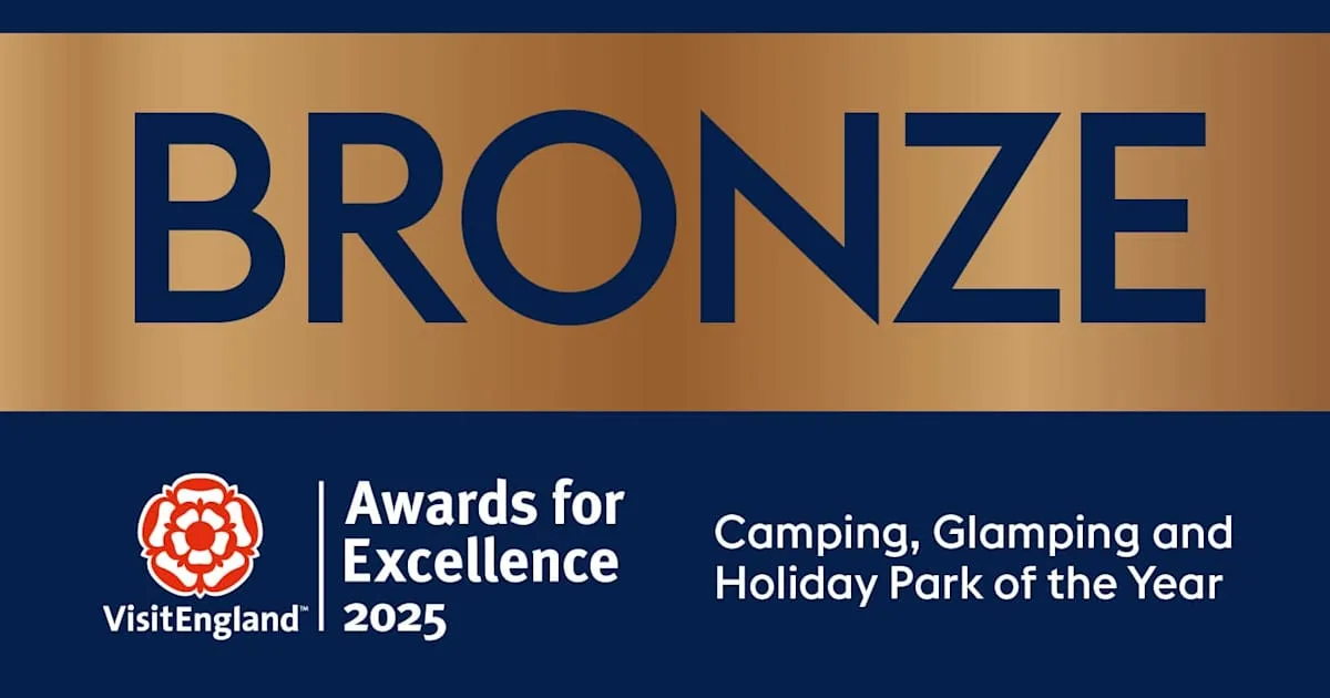 A bronze award graphic for camping, glamping, and holiday parks.
