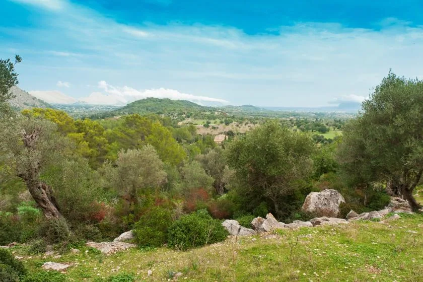 A green hillside overlooks a wooded valley beneath a partly cloudy sky.