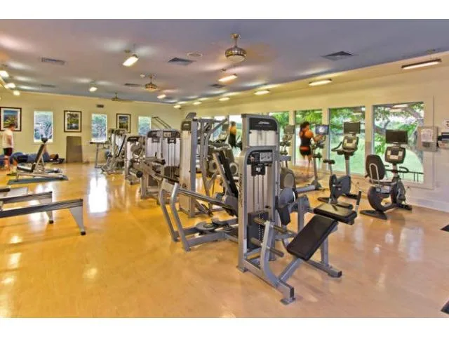 Un gimnasio amplio con máquinas de ejercicio y grandes ventanas.