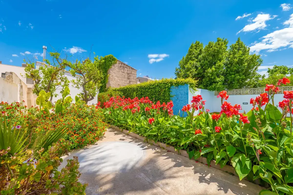 Un sendero de jardín pasa entre plantas frondosas y flores rojas.
