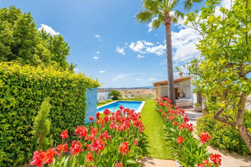 Un sendero de jardín bordeado de flores rojas conduce a una piscina.