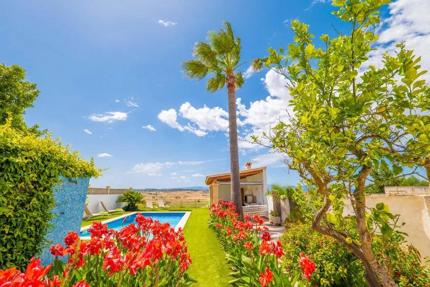 Un jardín con piscina, plantas con flores y palmeras bajo un cielo azul.
