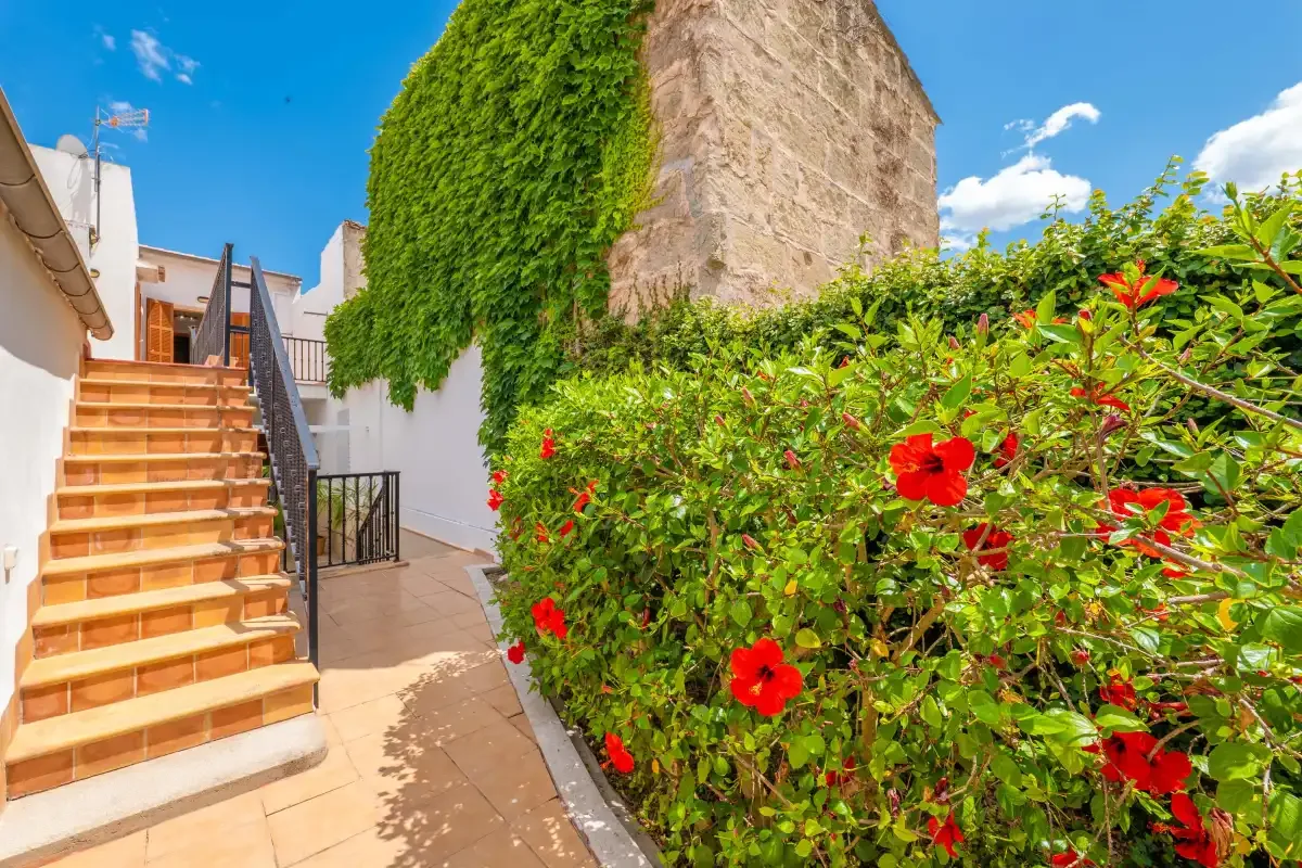Un patio exterior tiene escaleras de baldosas junto a plantas con flores y un muro cubierto de hiedra.