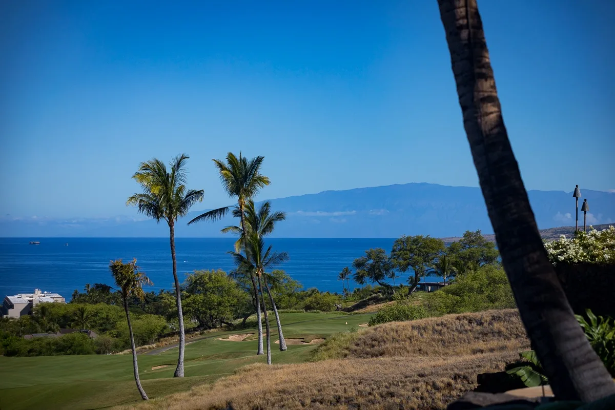 Un paisaje costero con palmeras, césped verde y mar azul.