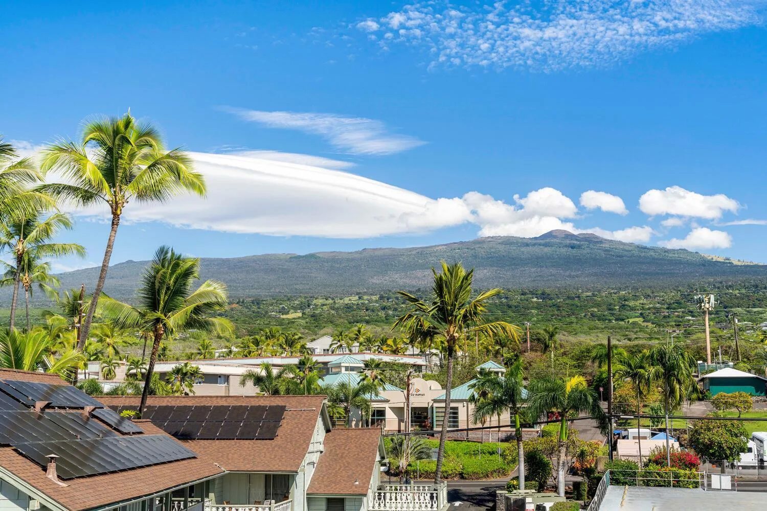 A tropical neighborhood with palm trees and a green mountain range in the distance.