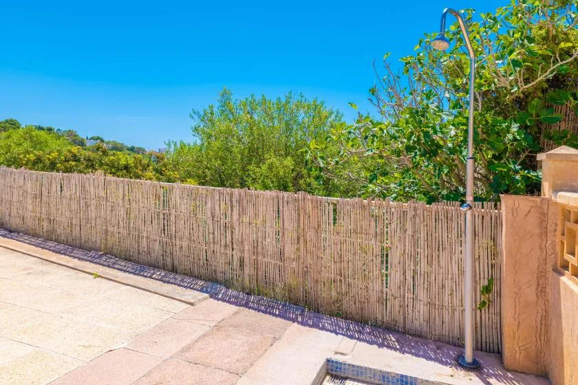 Un patio exterior pavimentado está junto a una alta valla de cañas y vegetación frondosa.