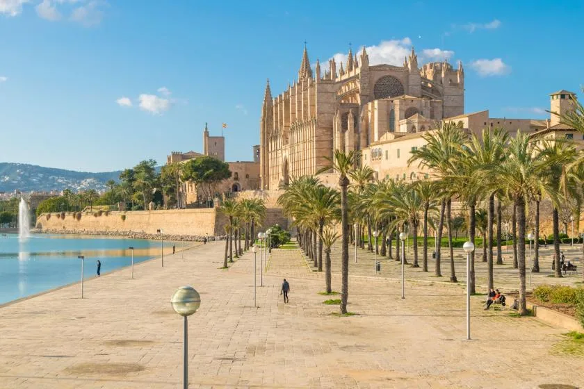 Una gran catedral histórica domina un paseo bordeado de palmeras junto al agua.