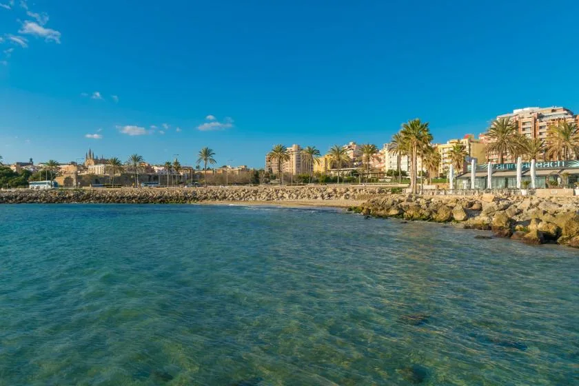 Frente costero con agua clara, una orilla rocosa, palmeras y edificios.