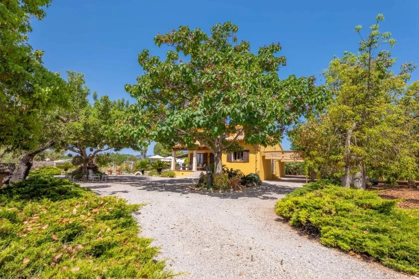 A gravel driveway leads toward a yellow house among leafy trees and shrubs.