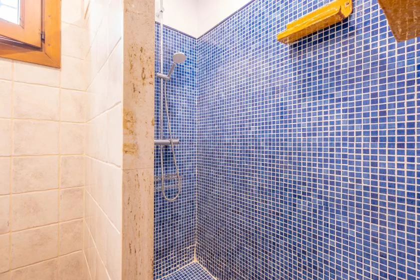A tiled shower area with blue mosaic walls and a handheld showerhead.