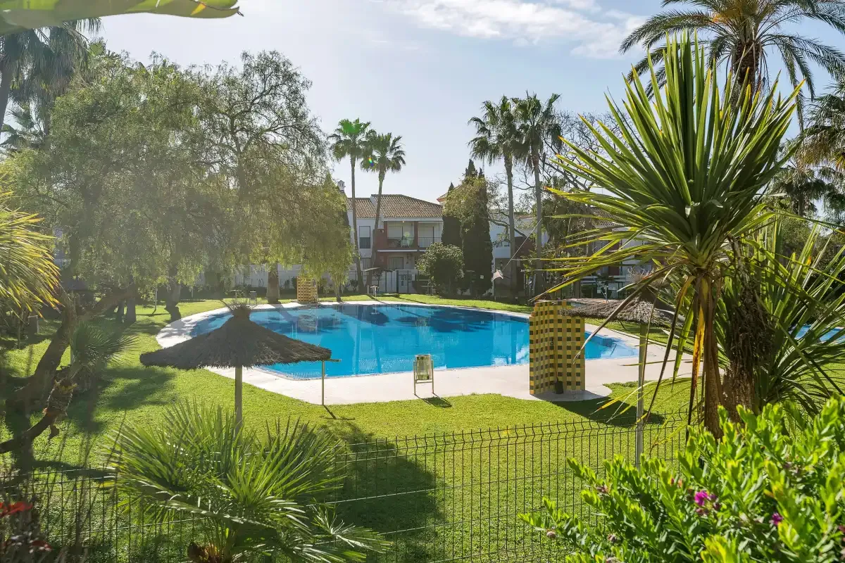 Una piscina al aire libre está rodeada de césped, palmeras y plantas de jardín.