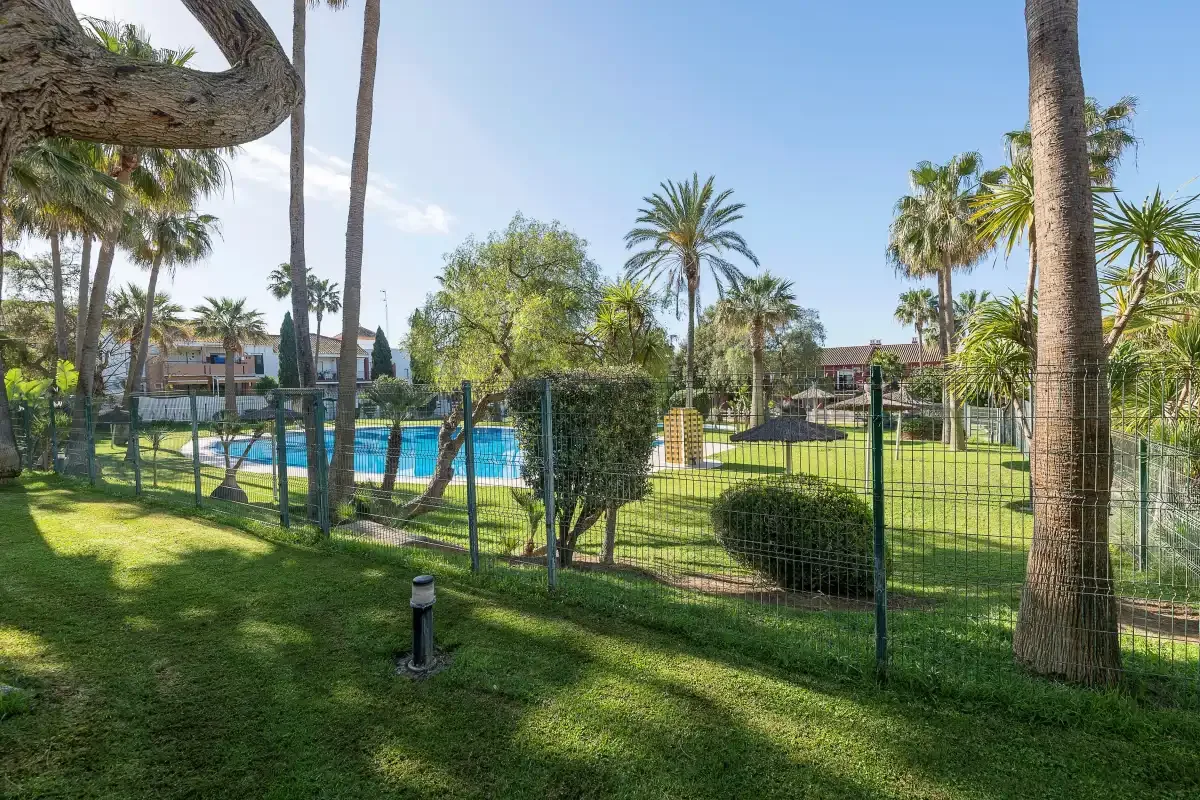 Una piscina exterior vallada está rodeada de palmeras y césped verde.