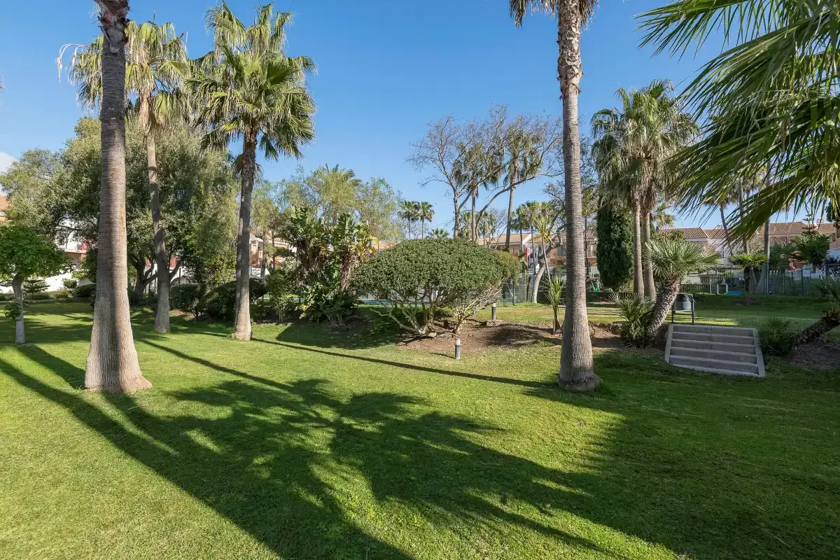 Un jardín ajardinado con palmeras, arbustos y césped.