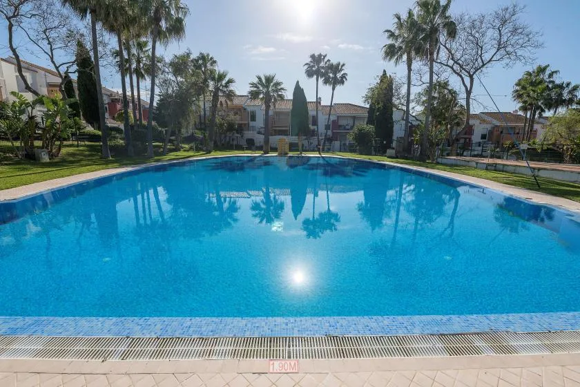 Una piscina al aire libre rodeada de palmeras y jardines.