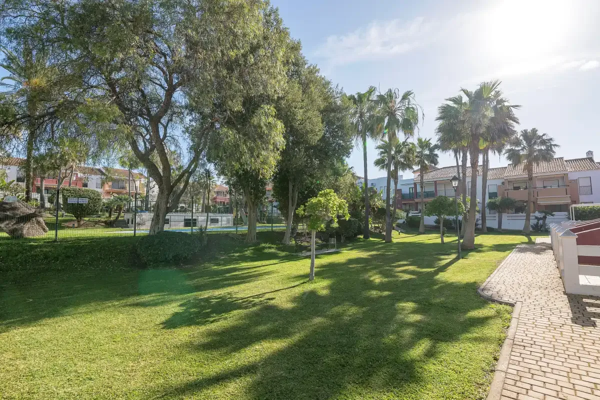 Un patio ajardinado con césped, árboles frondosos y palmeras.