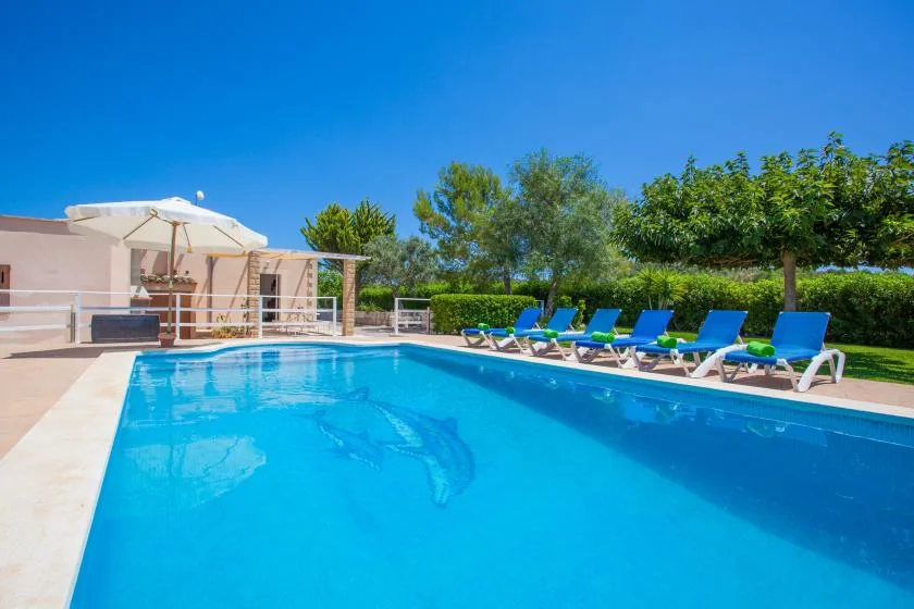 An outdoor swimming pool with blue loungers arranged along the edge.