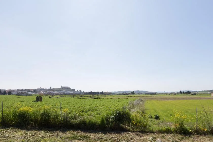 A broad green field stretches toward a distant town beneath a clear sky.