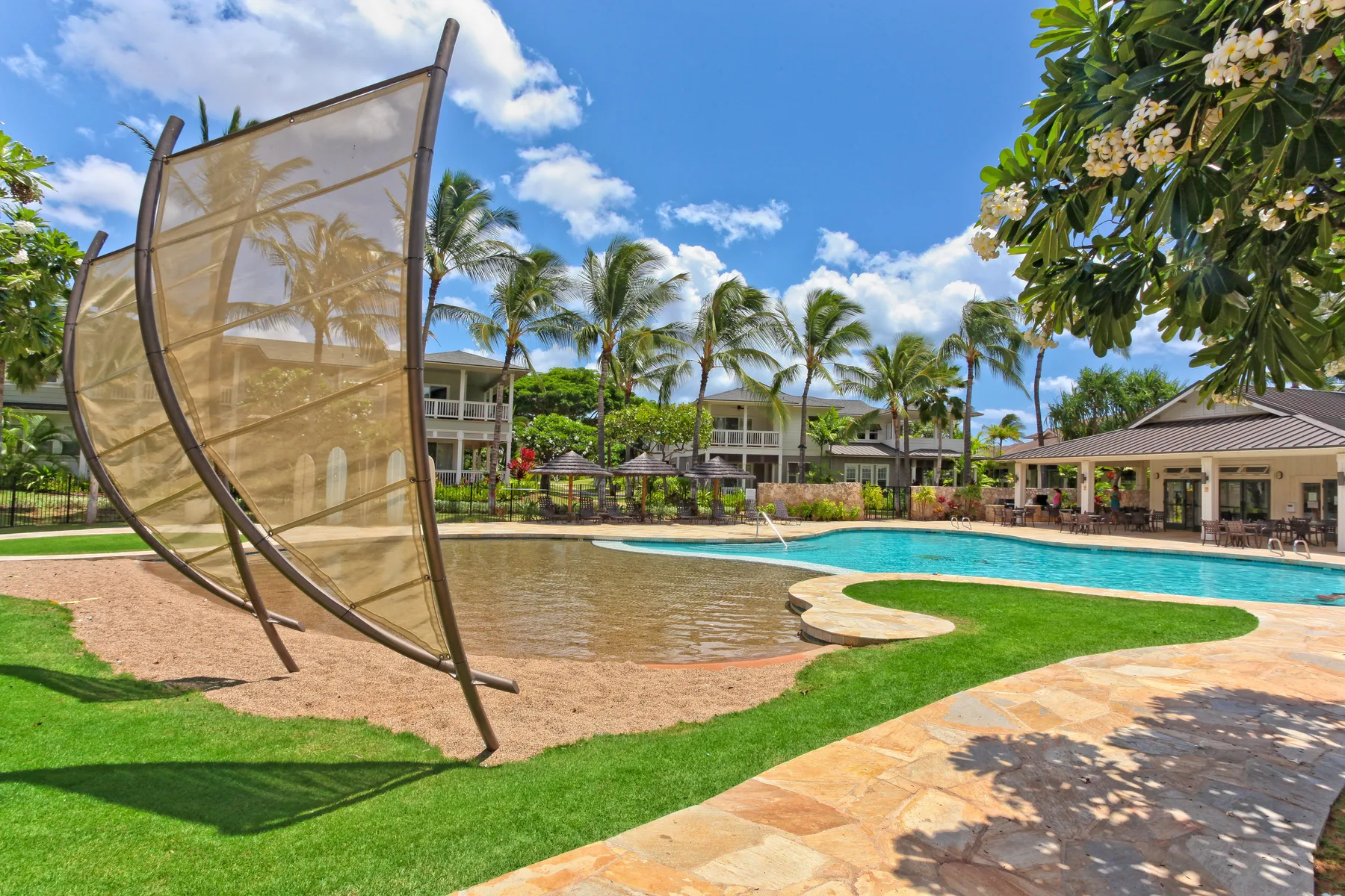 A landscaped outdoor pool area with a shallow basin, curved edge, and palm trees.