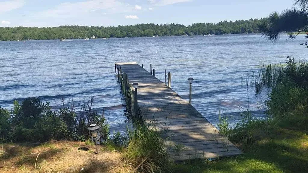A wooden dock extends into a lake bordered by trees and shoreline grasses.