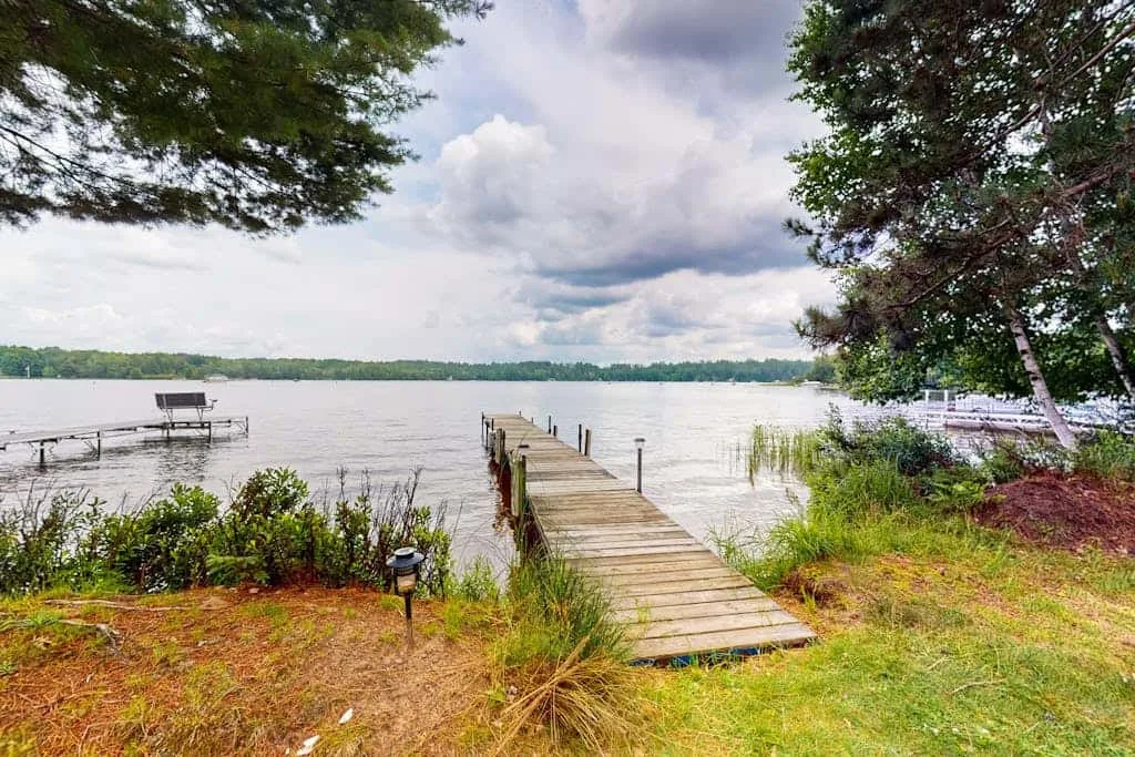 Un muelle de madera se adentra en un lago, enmarcado por árboles y plantas de la orilla.