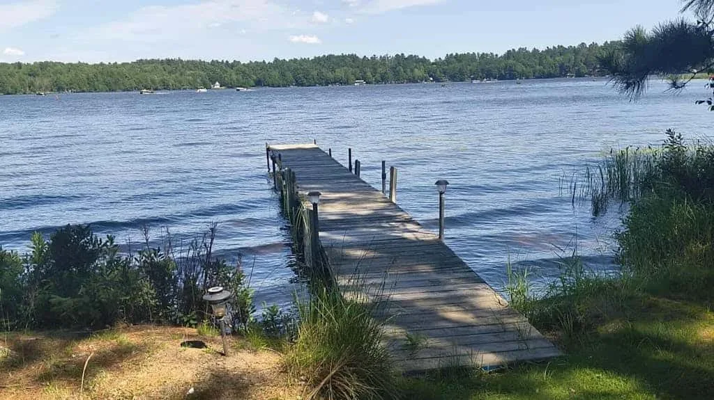 Un muelle de madera se adentra en un lago, con árboles a lo largo de la orilla opuesta.