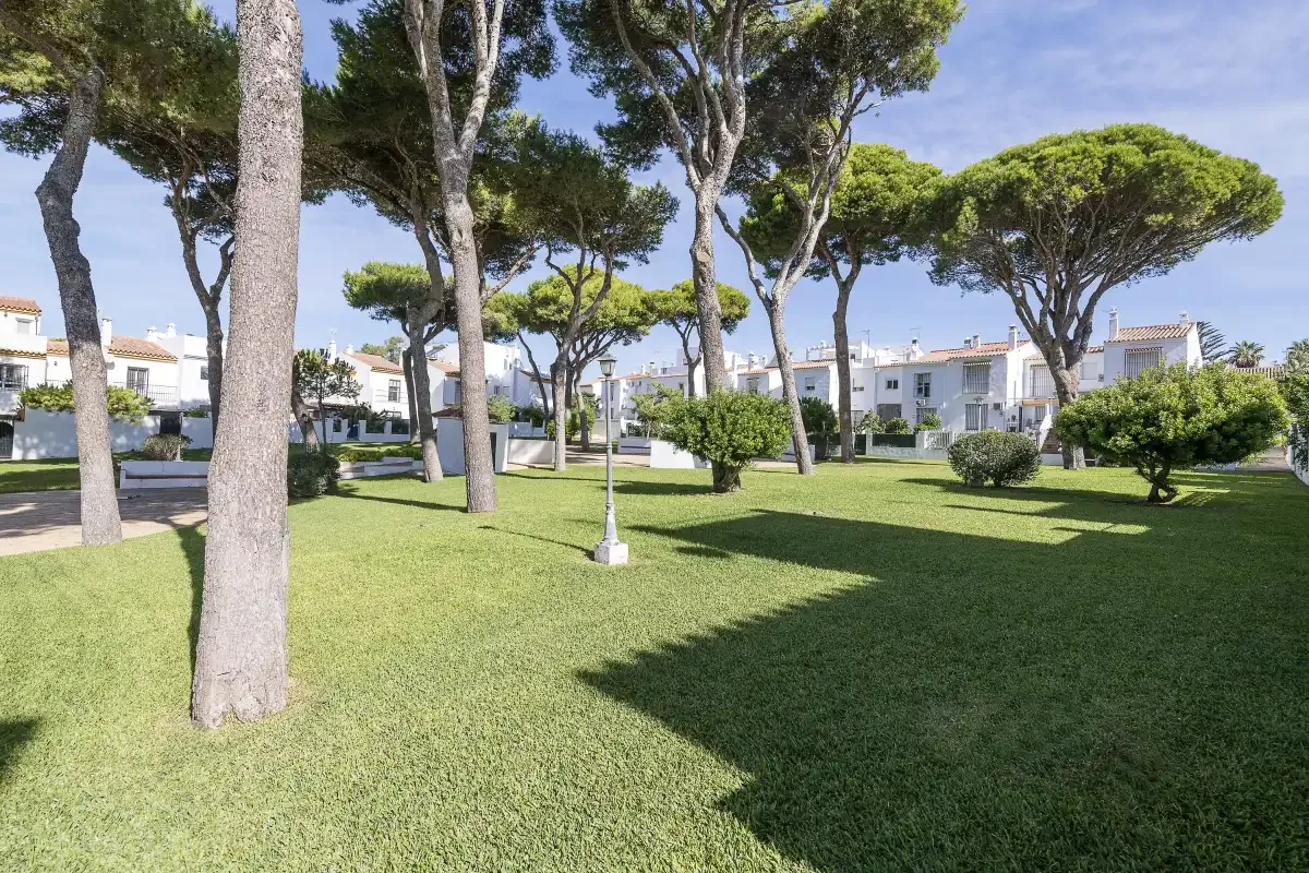 A landscaped courtyard with green lawn, trees, shrubs, and surrounding buildings.
