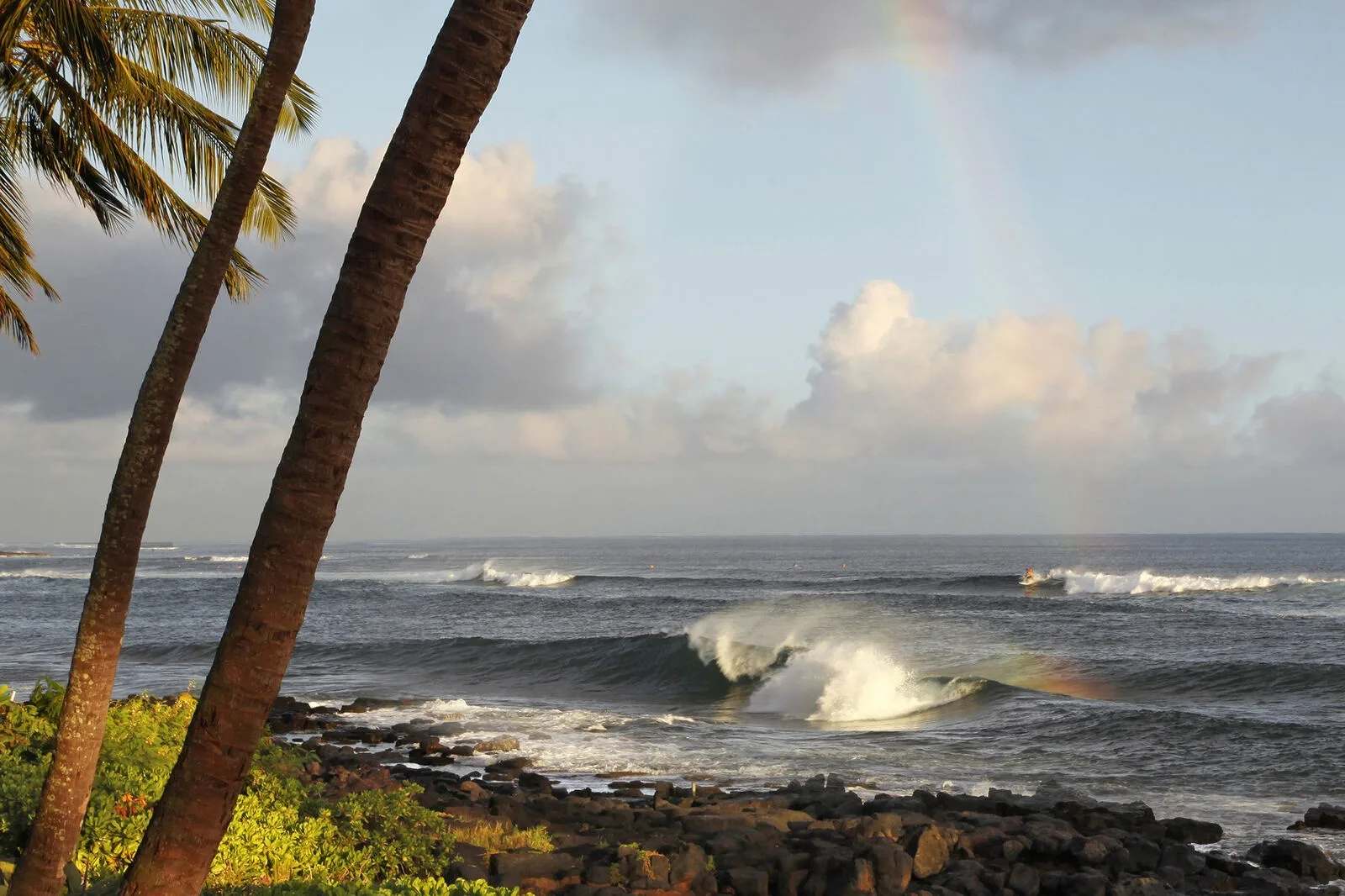 Ocean waves break along a rocky shore beneath palm trees.