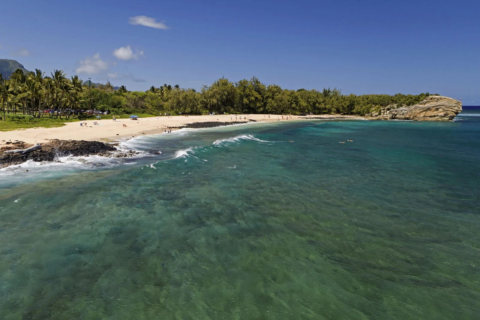 A sandy beach curves along clear turquoise water, with trees lining the shore.