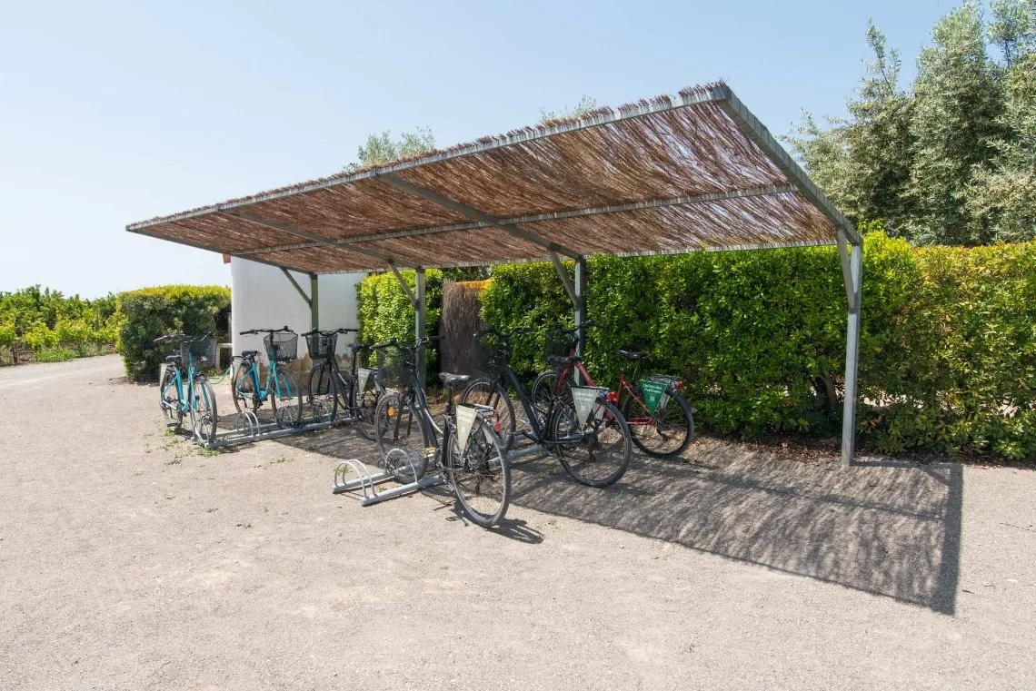 Bicycles at the property.