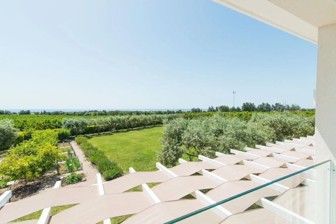 View of the garden and fields.