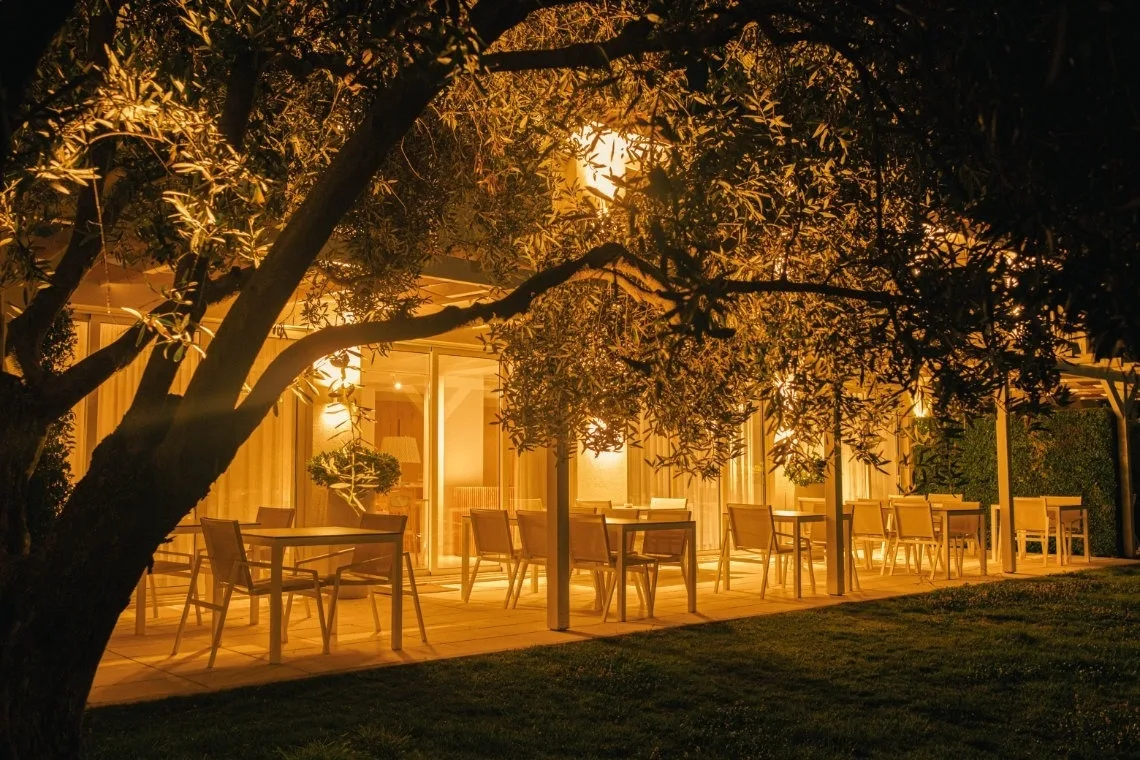 Outdoor tables beneath an illuminated olive tree.