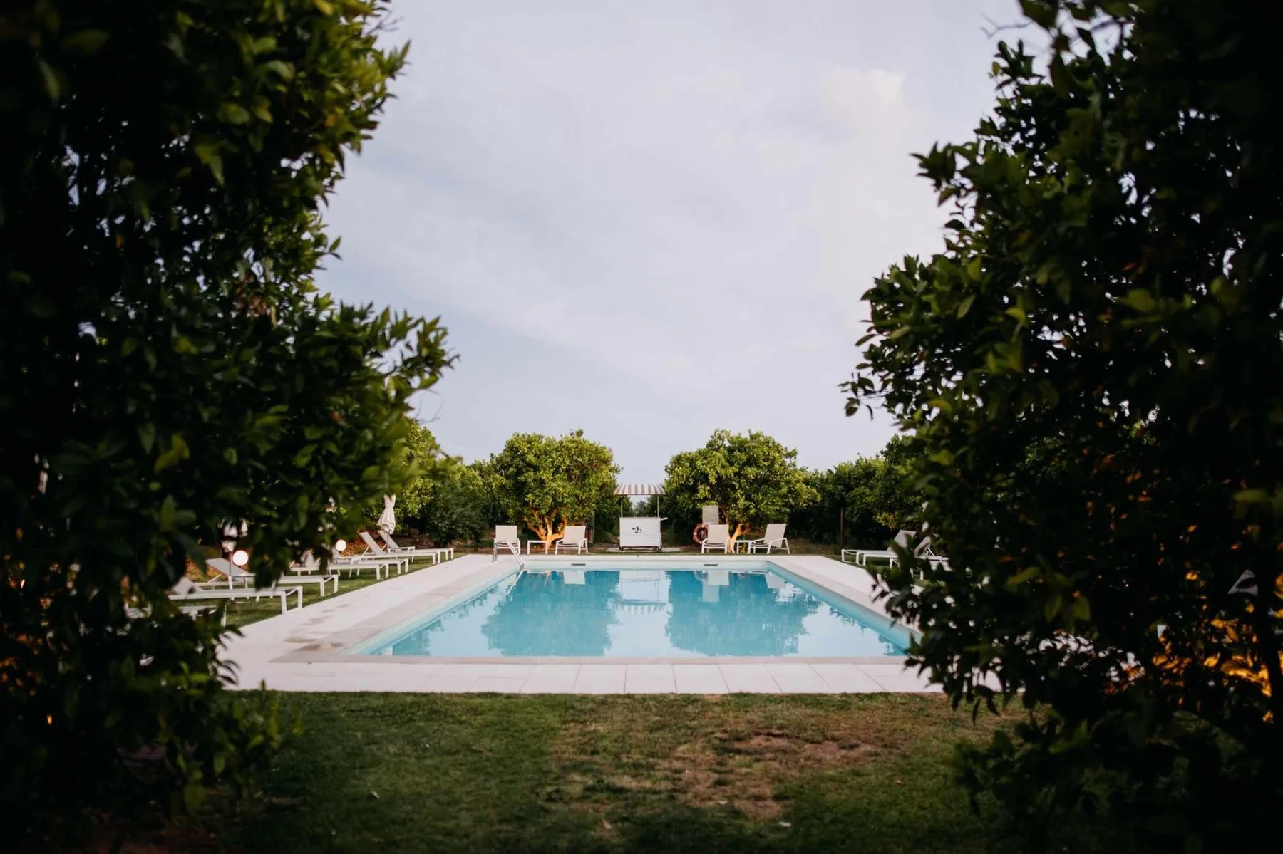 Pool surrounded by greenery and sun loungers.