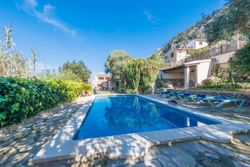 An outdoor swimming pool beside a stone patio and greenery.
