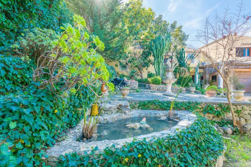 A landscaped garden with a small pond, stone edging, and lush greenery.