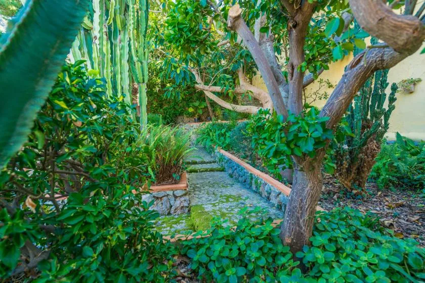 A garden path winds through dense greenery and trees.