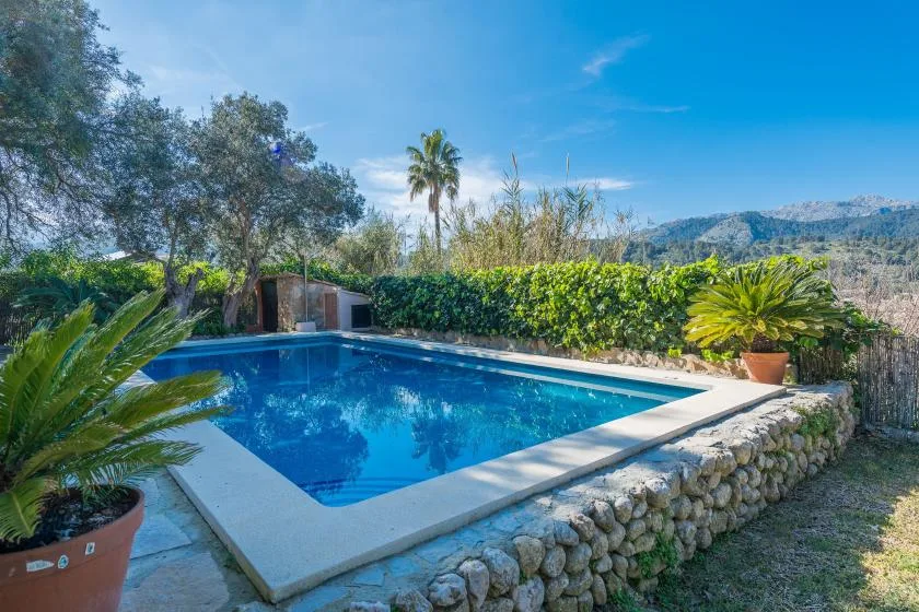 Una piscina azul al aire libre está junto a un borde de piedra y plantas frondosas.