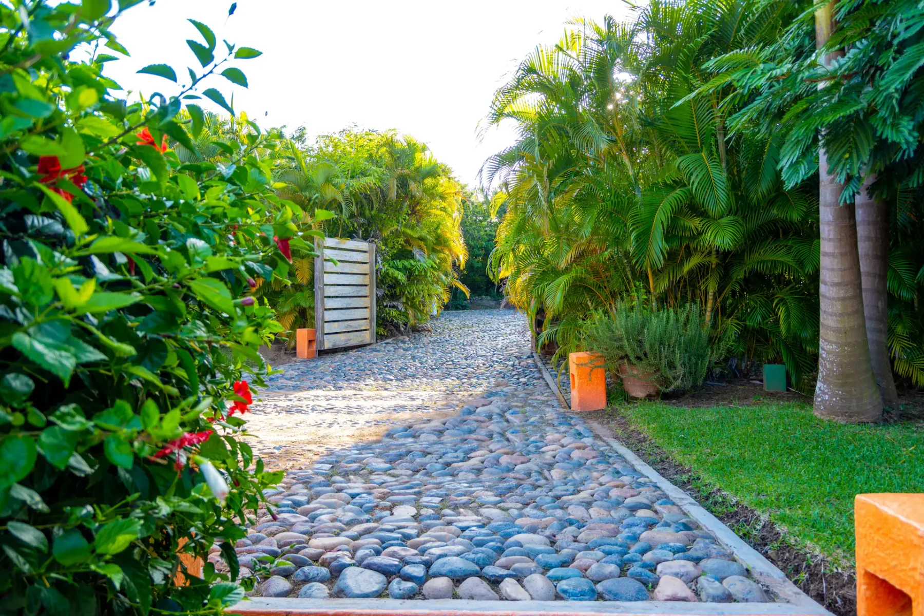 Un camino de piedra atraviesa una exuberante vegetación tropical junto a una puerta abierta.