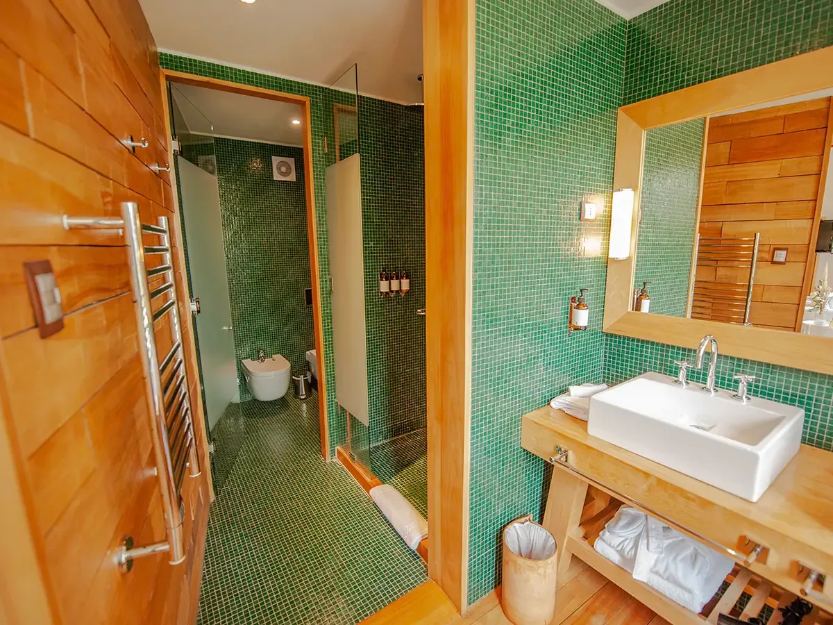 Premium Suite shower and sink with green tile