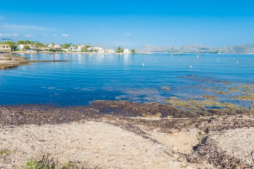 Una costa rocosa bordea aguas azules tranquilas, con edificios visibles a lo largo de la costa distante.