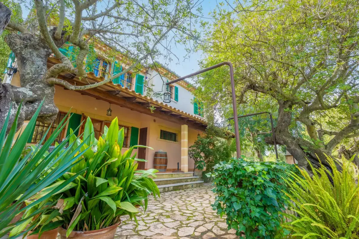Un sendero de jardín conduce a una casa de dos plantas rodeada de plantas y árboles frondosos.